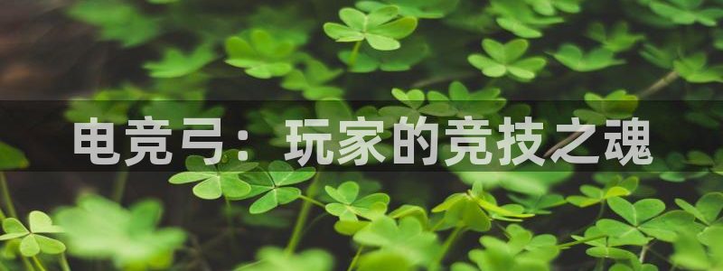 南宫电竞app